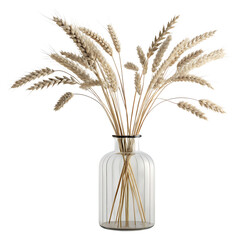 Modern Interior dried flower in a clear vase isolaed on a transparent background. Home decoration design