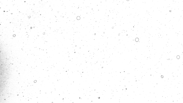 Snowfall. Winter heavy snowflakes. Overlay texture isolated  background PNG transparent