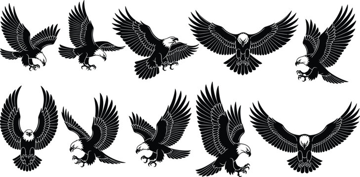 Flying eagle silhouette vector set, bold bald eagle attack pose illustration, hunting bird of prey clipart for tattoo, logo, or graphic design
