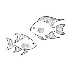 vector illustration of a fish