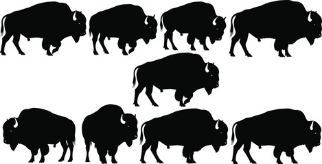 Set of bison silhouette illustrations, wild buffalo animals vector collection, American wildlife design, nature animals graphic, rustic wildlife icons for logos and prints