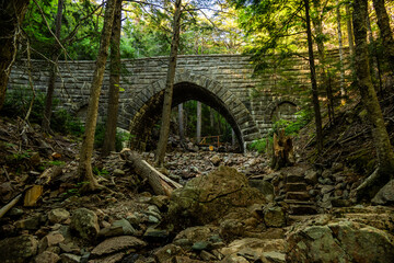 Rocks and Broken Trees Below Hemlock Bridge In Acadia