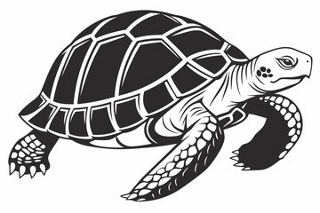 Tortoise animal sihouette black vector