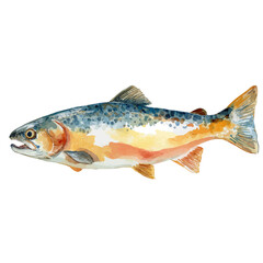 Baked Salmon in watercolor style, vector illustration, isolated on white background.