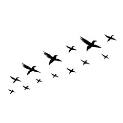 Birds flying line in the sky set. vector Ink grunge flock of birds.eps