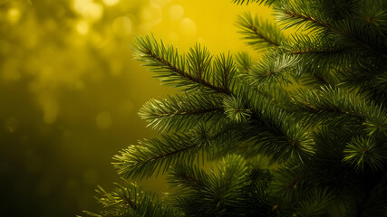Fototapeta premium Lush Green Pine Branches Against a Golden Background