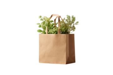 A modern and minimalist shopping bag made of beige plastic with a handle, containing small plants inside, on a white isolated on a transparent background in PNG format.