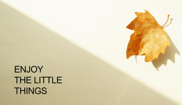 Enjoy the little things - Inspirational and motivational quote is shown using the text