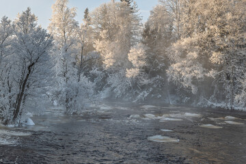 Swedish river and natural salmon area in winter .Farnebofjarden national park in north of Sweden.
