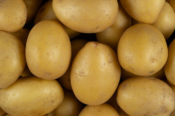Fresh raw unpeeled potatoes close-up