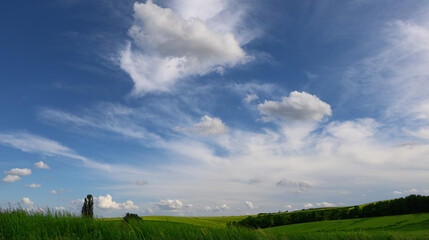 Serene summer landscape 8K