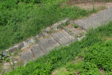 Abandoned cobblestone path overgrown with lush greenery in nature