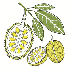 Fresh Fruit Vector Illustration in Minimal Art Style