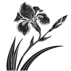 black and white flowers