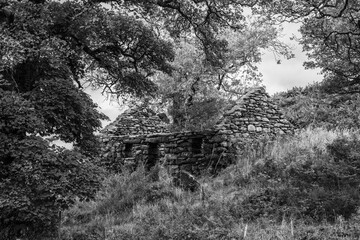 Monochrome view of an old, roofless stone structure overgrown with vegetation and framed by...