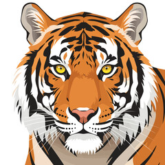 Detailed vector illustration of a tiger's face with orange and black stripes.