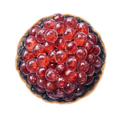 Caviar in watercolor style, vector illustration, isolated on white background.