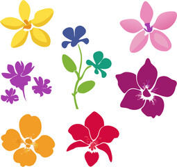 Colorful silhouette set of various orchid flowers