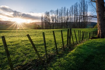 Obraz premium Sunrise over a lush green field.