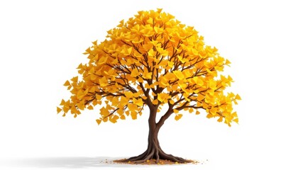 Golden Ginkgo Tree Autumn with Bright White Background