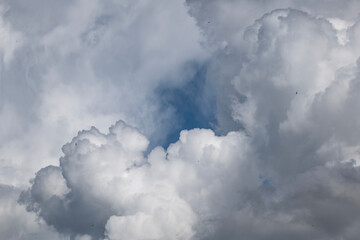 Cloudy sky for background on wallpaper with common swift in the background