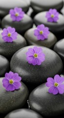 Purple flowers and smooth stones: a perfect harmony of nature and balance