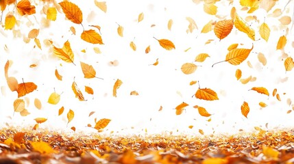 Golden autumn leaves swirl against a bright white background, creating a vibrant and dynamic scene.  Many leaves are airborne while others cover the ground