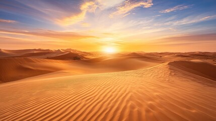 Vast desert landscape at sunset