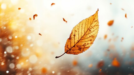 A single, dried, golden leaf floats amidst a flurry of smaller, falling leaves against a blurred, sunlit background