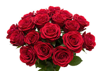Obraz premium Bouquet of fresh red roses floral arrangement studio setting bright romantic gesture. Cut out png