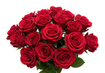 Bouquet of fresh red roses floral arrangement studio setting bright romantic gesture. Cut out png