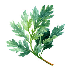 A watercolor painting of Wormwood, vector illustration on white background.