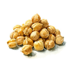 Chickpeas, watercolor painting, vector illustration, isolated on a white background.