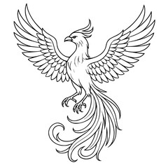 black and white phoenix