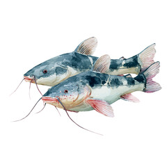 Catfish With Barbels in watercolor style, vector illustration, isolated on white background.