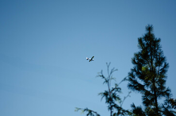 Small Airplane Flying in a Clear Blue Sky