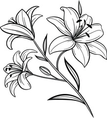 Elegant black and white lily flower branch line art with graceful petals and leaves, perfect for botanical illustration, floral tattoo design, minimalist wall art, and nature-themed decor.