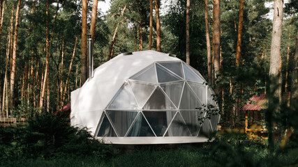 A modern white geodesic dome tent set in a lush green forest, surrounded by tall pine trees. The sunlight filters through the foliage, casting warm light on the eco-friendly glamping structure. 