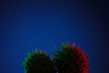 Two spiky fruits lit with red and green light against a dark blue background, offering bold...