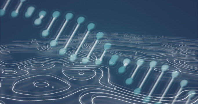 Hovering glowing DNA double helix above digital topography field, with white neon contour lines