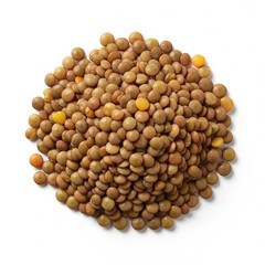 lentil isolated