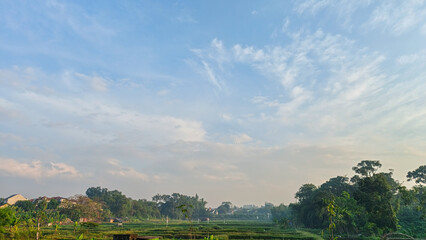 Fototapeta premium Beautiful blue sky with scattered clouds above green rice fields and trees in a rural countryside landscape