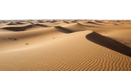 Majestic dunes forming undulating patterns sahara desert landscape arid environment wide angle natural beauty. Cut out png