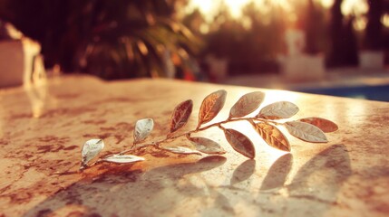 Elegant Leaf Branch on Stone Surface with Soft Sunset Glow