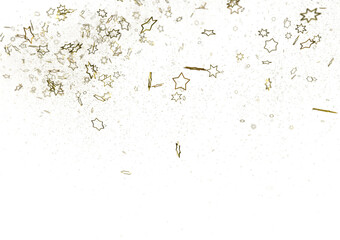 Stars - stars background, sparkle lights confetti falling. magic shining Flying christmas stars on...