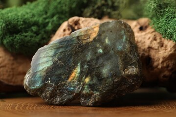 Aura. Beautiful labradorite and driftwood with moss on stump, closeup