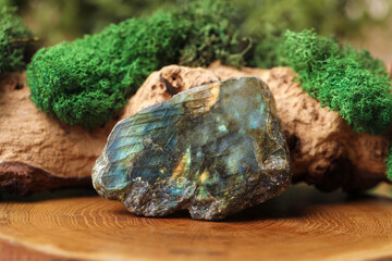 Aura. Beautiful labradorite and driftwood with moss on stump, closeup