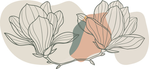Fototapeta premium colorful magnolia flowers line art isolated on white background. Luxury magnolia floral design elements for invitation, wedding, wallpaper, print template, vector.Generative AI