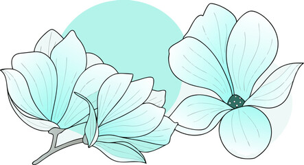 Fototapeta premium blue magnolia flowers line art isolated on white background. Luxury magnolia floral design elements for invitation, wedding, vector.Generative AI