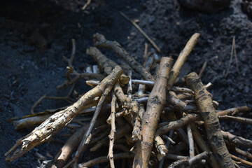 Making a campfire with brushwood in the forest. Danger in forest. Traveling, tourism, picnic cooking, cooking at the stake. Concept of scout, research, travel and survival in nature.  